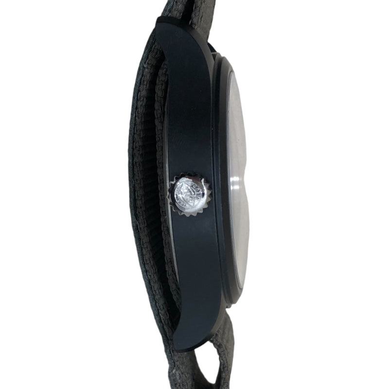 IWC Mark XX 純正品チタン製尾錠 Strap Guide: IWC Pilot's Watch Mark XX – Delugs
