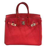エルメス HERMES バーキン25 T刻 ルージュピヴォワンヌ/シルバー金具 トゴ レディース ハンドバッグ