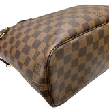 ルイ・ヴィトン LOUIS VUITTON ネヴァーフルPM N51109 エベヌ ダミエ・キャンバス/レザー レディース トートバッグ