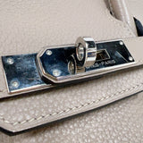 エルメス HERMES バーキン30 □N刻印　(2010年製) トゥルティールグレー　シルバー金具 トリヨンクレマンス レディース ハンドバッグ