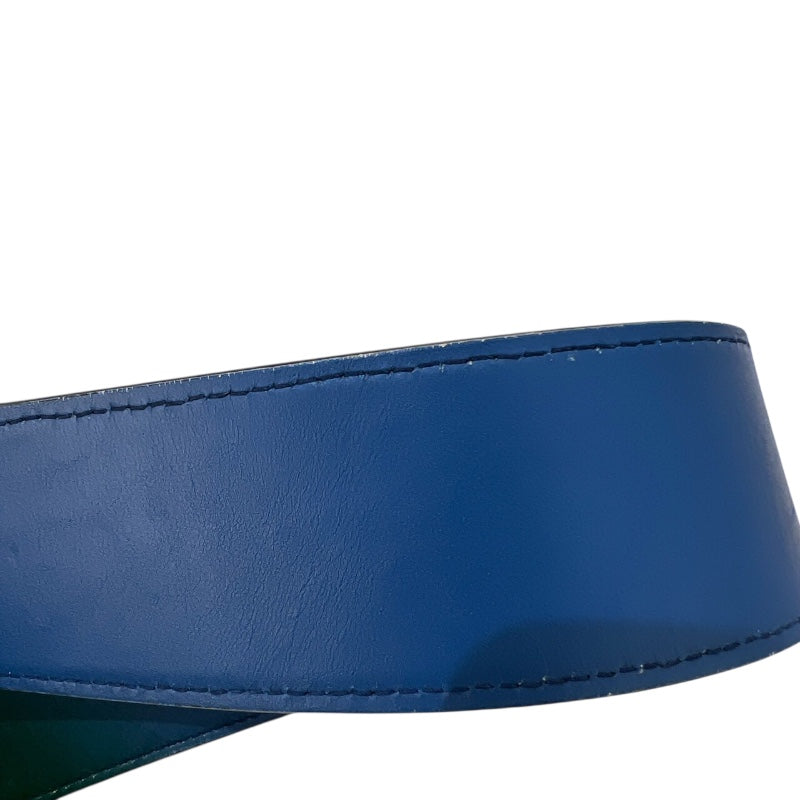 クリスチャン・ディオール Christian Dior レディディオール ミディアム グラデーション ブルー・グリーン・パープル レザー レディース ショルダーバッグ