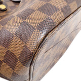 ルイ・ヴィトン LOUIS VUITTON シエナPM N41545 ブラウン　ゴールド金具 ダミエ ユニセックス ショルダーバッグ