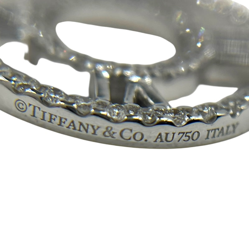 ティファニー TIFFANY＆CO オープンアトラスメダリオンネックレス