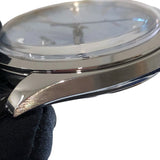 グランドセイコー Grand Seiko エレガンスコレクションスプリングトライブ SBGY007 ブルー ステンレススチール ステンレススチール メンズ 腕時計