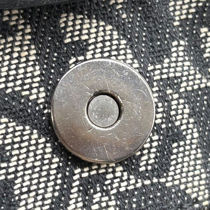 クリスチャン・ディオール Christian Dior トロッターハンドバッグ ブラック シルバー金具 トロッターキャンバス レディース ハンドバッグ