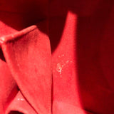 ルイ・ヴィトン LOUIS VUITTON トレヴィPM N51998 ブラウン ダミエ レディース ハンドバッグ