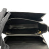 セリーヌ CELINE ティーントリオンフ バッグ 188882DBA.38NO アイボリーxブラック GD金具 キャンバス/レザー レディース ショルダーバッグ