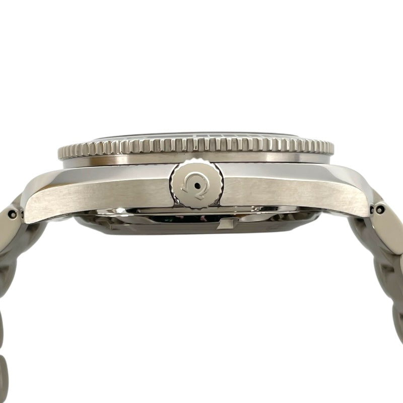 オメガ OMEGA シーマスタープラネットオーシャン600M コーアクシャル クロノメーター 2201.50 ブラック SS 自動巻き メンズ 腕時計