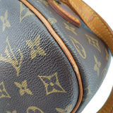 ルイ・ヴィトン LOUIS VUITTON ブロワ M51221 モノグラム レディース ショルダーバッグ