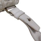 クリスチャン・ディオール Christian Dior サドルボディバッグ ホワイト　シルバー金具 キャンバス/レザー メンズ ボディバッグ