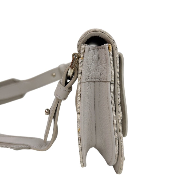 クリスチャン・ディオール Christian Dior サドルボディバッグ ホワイト　シルバー金具 キャンバス/レザー メンズ ボディバッグ