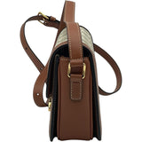 セリーヌ CELINE ティーントリオンフバッグ 188882 グレージュ GD金具 トリオンフキャンバス/レザー レディース ショルダーバッグ