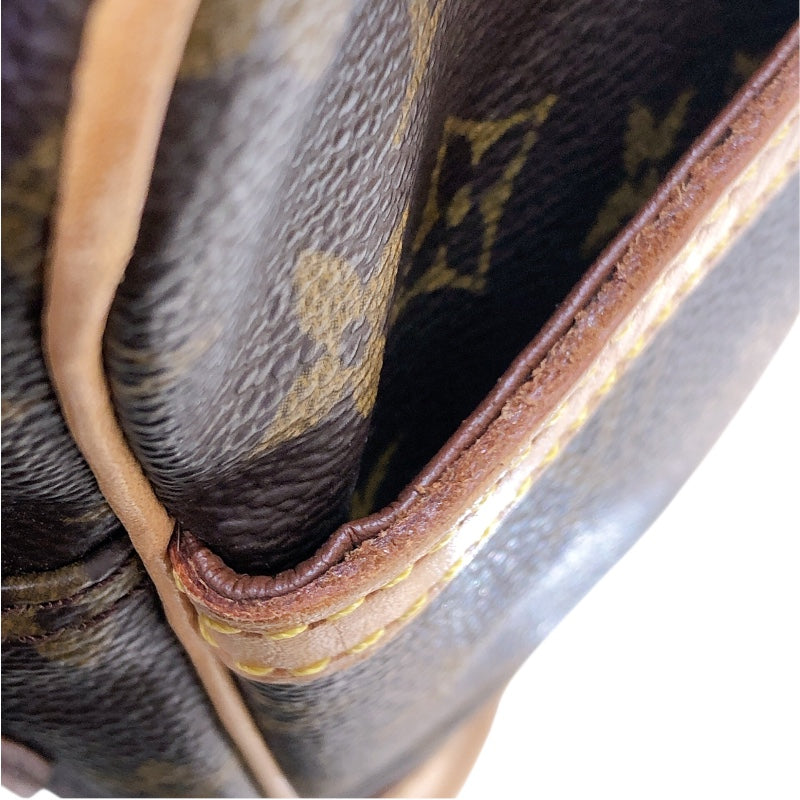 ルイ・ヴィトン LOUIS VUITTON ダヌーブ M45266 モノグラム PVC レディース ショルダーバッグ