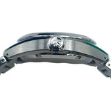 グランドセイコー Grand Seiko エボリューション9コレクション　メカニカルハイビート36000 SLGH005 白樺 SS 自動巻き メンズ 腕時計