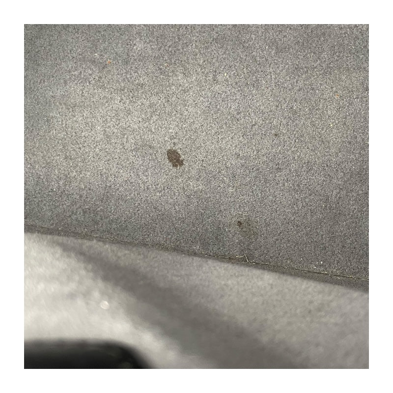 ルイ・ヴィトン LOUIS VUITTON リュサック M52282 ノワール エピ レディース ショルダーバッグ