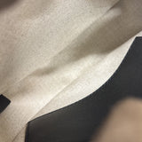 セリーヌ CELINE トリオンフラウンドパース ブラック　GD金具 キャンパス ユニセックス ショルダーバッグ