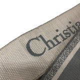 クリスチャン・ディオール Christian Dior サドルバッグ Ｍ0446 グレー ゴールド金具 ムートンレザー レディース ショルダーバッグ