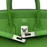 エルメス HERMES バーキン25 B刻 ヴェールユッカ/シルバー金具 トゴ レディース ハンドバッグ