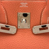 エルメス HERMES バーキン30 Q刻 クレヴェット シルバー金具 トリヨン レディース ハンドバッグ
