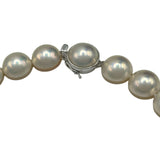 タサキ TASAKI ネックレス ホワイトゴールド K14WG パール ジュエリー