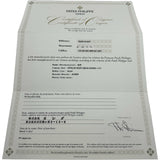パテック・フィリップ PATEK PHILIPPE アニュアルカレンダー クロノグラフ 5960/1A-001 シルバー ステンレススチール 自動巻き メンズ 腕時計