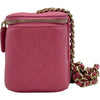 シャネル CHANEL バニティバッグ AP1341 29番台 ピンク ゴールド金具 キャビア レディース ショルダーバッグ