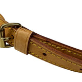ルイ・ヴィトン LOUIS VUITTON ブロワ M51221 ブラウン モノグラムキャンバス　 レディース ショルダーバッグ