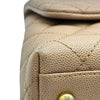 シャネル CHANEL ココハンドル29 A92991 24番台 ブラウン系 ゴールド金具 キャビアスキン/リザード レディース ショルダーバッグ