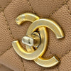 シャネル CHANEL ココハンドル29 A92991 24番台 ブラウン系 ゴールド金具 キャビアスキン/リザード レディース ショルダーバッグ