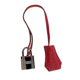 エルメス HERMES バーキン30 □N刻印　(2010年製) ルージュカザック　シルバー金具 トリヨンクレマンス ユニセックス ハンドバッグ