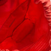 プラダ PRADA ナイロン バックパック BZ0023 ピンク ナイロン レディース リュック・デイパック