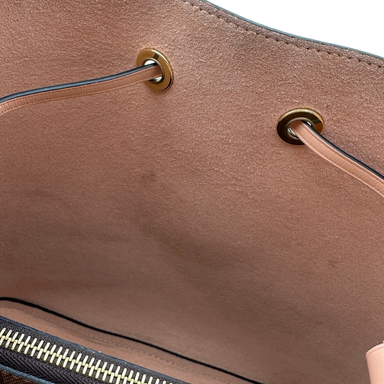 ルイ・ヴィトン LOUIS VUITTON ネオノエ N40198 ヴィーナス ダミエ