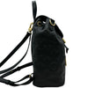ルイ・ヴィトン LOUIS VUITTON クッサン バックパック PM M13357 ブラック レザー レディース リュック・デイパック