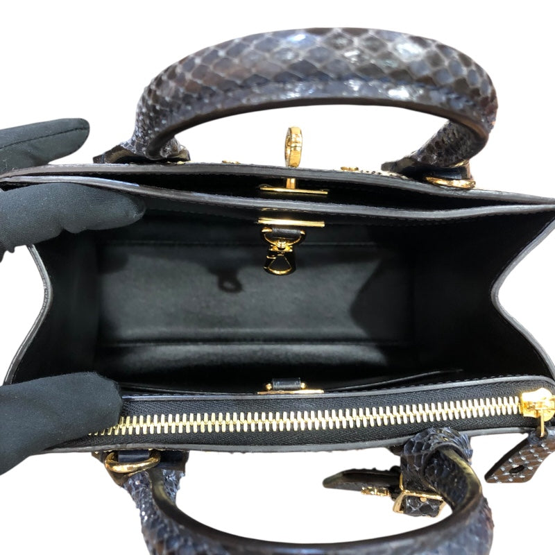 ルイ・ヴィトン LOUIS VUITTON シティスティーマーミニ N96317 ネイビー　GD金具 パイソン/カーフ レディース ハンドバッグ