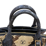 ルイ・ヴィトン LOUIS VUITTON シティスティーマーミニ N96317 ネイビー　GD金具 パイソン/カーフ レディース ハンドバッグ