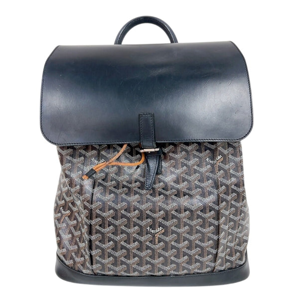 【ほぼ新品】 GOYARD  アルパン バックパックMM ゴヤール GOYARD アルパンMM バッグパック ブラック シルバー