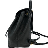 ルイ・ヴィトン LOUIS VUITTON モンスリPM M45205 ノワール アンプラント レディース リュック・デイパック