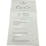 パテック・フィリップ PATEK PHILIPPE コンプリケーション ワールドタイム 5130G-001 シルバー ホワイトゴールド 自動巻き メンズ 腕時計
