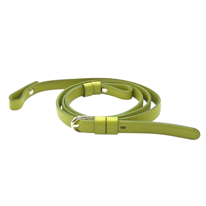 デルヴォー DELVAUX プリヨンEW　PM ライトグリーン レザー レディース ショルダーバッグ