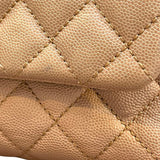 シャネル CHANEL ココハンドルXS A92990 24番台 ブラウン×ゴールド金具 キャビアスキン×リザード レディース ショルダーバッグ