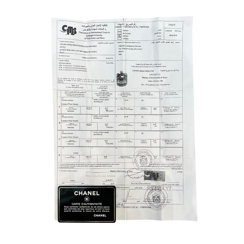 シャネル CHANEL ココハンドルXS A92990 24番台 ブラウン×ゴールド金具 キャビアスキン×リザード レディース ショルダーバッグ