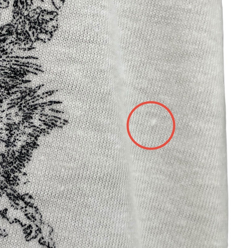 クリスチャン・ディオール Christian Dior プリントTシャツ 343T09A4501 ホワイト コットン85% リネン15% レディース 半袖Ｔシャツ