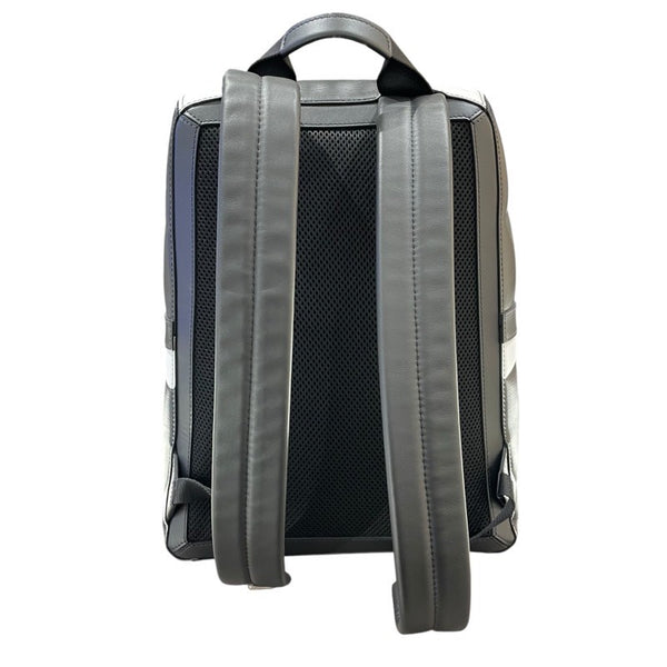 ルイ・ヴィトン LOUIS VUITTON アポロ バックパック2018年FIFA　W杯限定 M52186 ブラック・ホワイト エピ メンズ リュック・デイパック