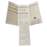 Pt900 ダイヤ　ペンダントトップ Pt900プラチナ ダイヤモンド ジュエリー