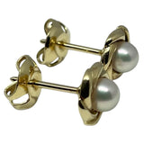 ミキモト MIKIMOTO ピアス ゴールド K14YG/パール ジュエリー
